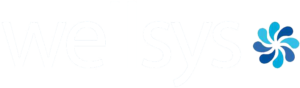 wellsys-white.png